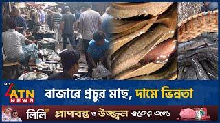 বাজারে প্রচুর মাছ, দামে ভিন্নতা | Fish Market | lots of fish | ATN News