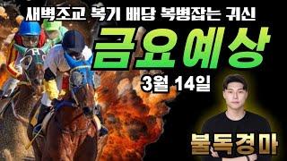 복병귀신 불독의 3/14(금) 전경주 복병&축마 오픈! 금요예상 방송! #경마#불독경마#금요경마