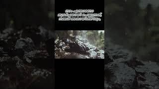 തോൽവി ഒരിയ്ക്കലും ഒരു അവസാനമല്ല,