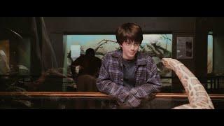 Harry Potter and the Sorcerers Stone - Reptile House Scene HD