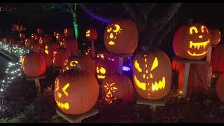 Jack O'Lantern Glow presented by Medpace