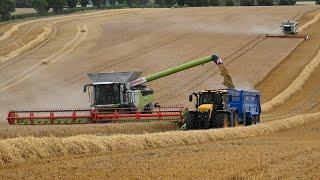 Harvest 2023 - Combining Barley with TWO Claas Lexions 770 & NEW 8900 and two NEW JCB Fastrac 4220s