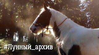 Лунный Архив