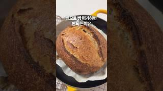 예쁜 빵은 다 맛있을까요? #홈베이킹 #사워도우