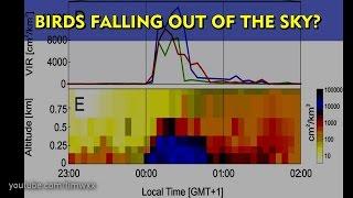 FORECAST LAB: Mystery radar echoes over Arkansas, birds falling out of the sky