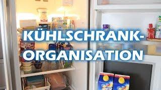 KÜHLSCHRANK RICHTIG EINRÄUMEN | ORGANISATION | DaniLu