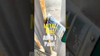 Paint like a Pro with All in 1 - Aqua Metal Rust & Wood (Primer & Top) #paint #painting