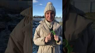 Один из уроков с курса «Основы черенкования для новичков»