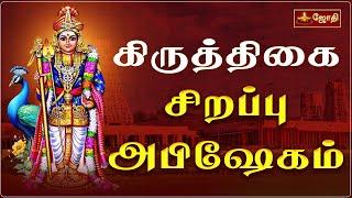 கிருத்திகை சிறப்பு அபிஷேகம் | பல்வேறு கோயில்களில் இருந்து | Murugan Abishegam | Jothitv