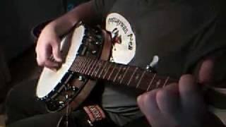 Make You Feel My Love 5 string Banjo