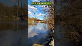 [임업] 임업선진국 핀란드의 숲과 현황