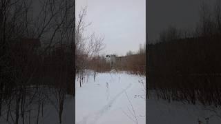 #леснойгородок неудалые кадры.
