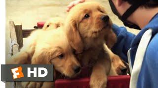 Golden Winter (2012) - A Wagonful Of Puppies Scene (5/10) | Movieclips