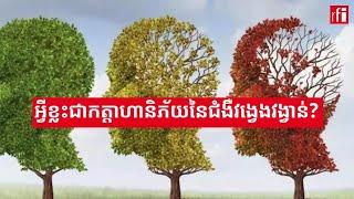 ការ​ពារ​សុខភាព​ភ្នែក ជា​ផ្នែក​មួយ​នៃ​ការ​ពារ​ប្រឆាំងនឹង​ជំងឺវង្វេងវង្វាន់