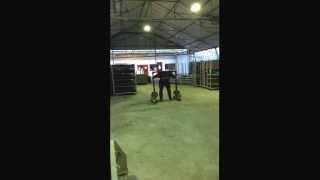 benedikt magnusson 350kg super yoke