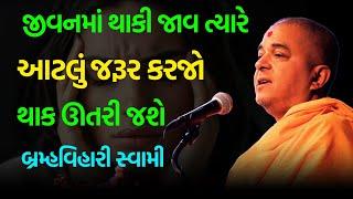 નવી ને અવનવી વાતો ~ Brahmavihari Swami 2024 | BAPS Katha Pravachan | Swaminarayan Katha