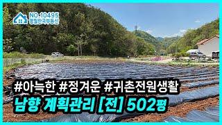 [영월토지] 아늑한 전원마을 가성비 좋은 영월땅매매, 농막 체류형쉼터 주말농장, 귀촌주택지 추천 #영월한국부동산