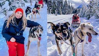 UNREAL! Dog Sledding in Banff, Canada 