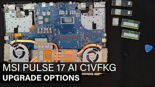 Pulse 17 AI C1VFKG - DISASSEMBLY AND UPGRADE OPTIONS