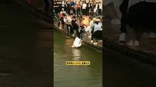 함께해서 더 즐겁고 행복한 흔들다리       #together #흔들다리 #즐거움 #행복