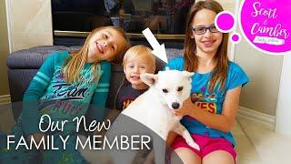 ADDING TO OUR FAMILY!! | Scott and Camber