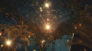 A Glass Shelter Under The Dazzling Stars I Immersive Experience [4K]