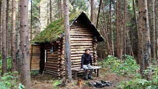 Restoration of a bushcraft shelter from the rain. The most beautiful forest house in a log cabin.