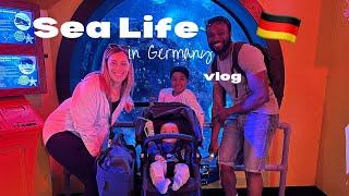 Sea Life in Germany vlog - is it worth the visit?   Aussie living abroad in Germany