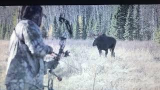 One of the Greatest Alberta Moose Bow hunts of all time with Ryan Harder