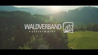 Waldverband Steiermark - Wir schaffen Werte