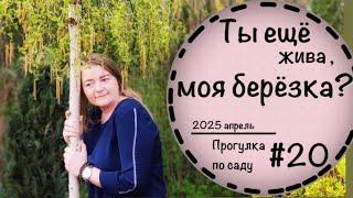 ️Прогулка по саду #20️ Сад не узнать, но я жива! ️ Переделки не кончаются️ Компост️Экозабор️