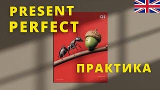 Present Perfect тренажер ПРАКТИКА презент перфект| Англійська українською