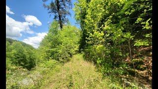Land for Sale North Carolina| 5.10 Acres, Bryson City 15 min, 1.5 hours to Great Smokey Mountains!