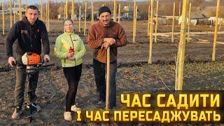 Плани міняються! Переносим сад! Підживлення і підв'язка саджанців!