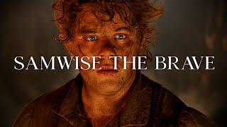 [LOTR] Samwise The Brave