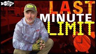 3 Baits to Fill Your Bass Limit