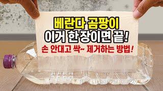 재활용 페트병에 넣었다 붙이면 끝! 곰팡이 제거의 놀라운 효과! 벽 곰팡이, 베란다 곰팡이, 실리콘 곰팡이 청소 방법과 청소 세제 추천! 청소꿀팁