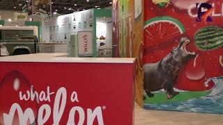 What a Melon at IFE 2019 | Client Testimonials