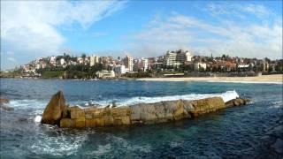 Coogee Real Estate