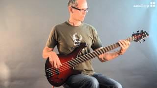 Sandberg Classic Booster 5 Fretless