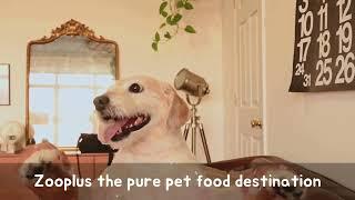 Zooplus the pure pet food destination