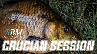 Crucian session Feat. Gary Benney (4K)