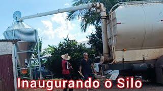 Primeira carga de ração a granel # peguei um ferro roçando com a roçadeira a trator .