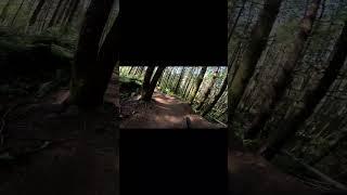 Hide and Seek short