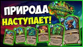 НОВЫЕ КАРТЫ ДРУИДАКенарий получил "Бафф" — Перспективный — Объятия Изумрудного Сна | Hearthstone