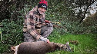 October Roe deer doe with a Longbow, Self filmed - Short film - Tales From the Willows