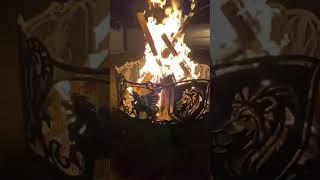 Отзыв FIREPIT Костровая чаша Львы 1