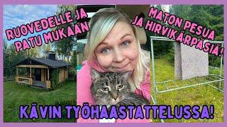 Työhaastattelussa / Mummulla siivoamassa / Ruovedelle loppuviikoksi / Hirvikärpäsiä