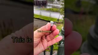 Have you ever found a ‘nano’ #geocaching #geocache