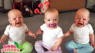 Funniest Baby Videos of the Week - Try Not To Laugh || Cool Peachy 